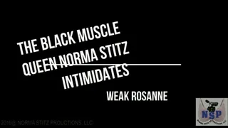 CUSTOM NUMBER 19 NORMA STITZ TAKE U INTO WORLD OF KEN and ROSANNA