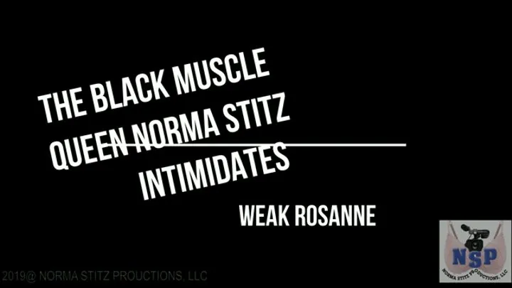 CUSTOM NUMBER 19 NORMA STITZ TAKE U INTO WORLD OF KEN and ROSANNA