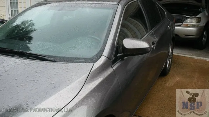 CAR TROUBLES WITH NORMA STITZ AND SUMMER LASHAY