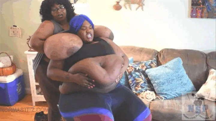 NORMA STITZ AND BEVERLY BLUE WORK STRENGTH TEST