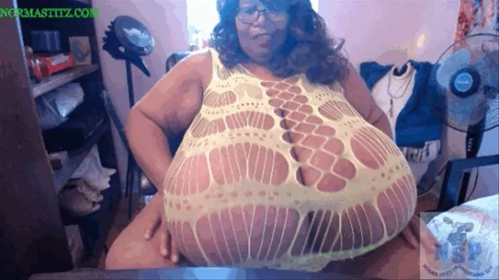 NORMA STITZ AND THE MISSING DING-A-LING