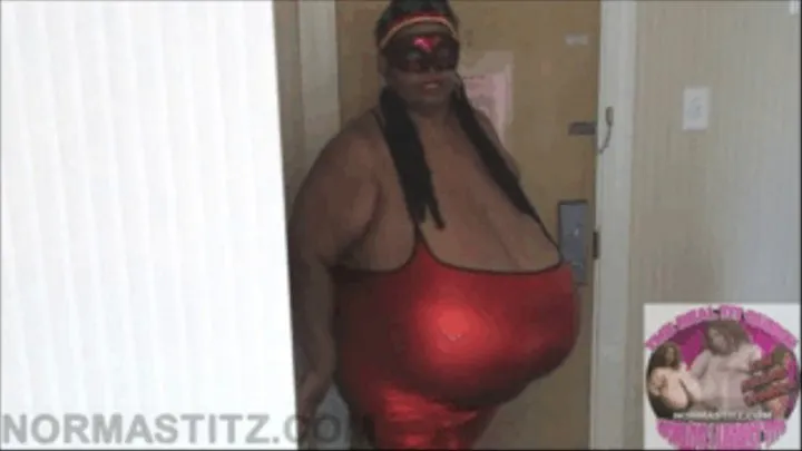 AGENT NORMA STITZ CODE 102zzz RECOVERS HER STOLEN BRA FORMULA