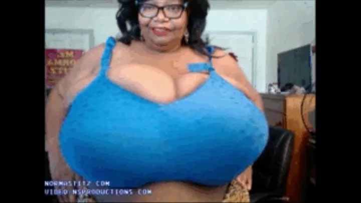 NORMA STITZ BRA LOVERS