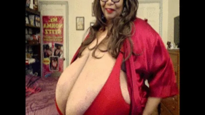 NEW YEAR CELEBRATION SET UP FROM NORMA STITZ