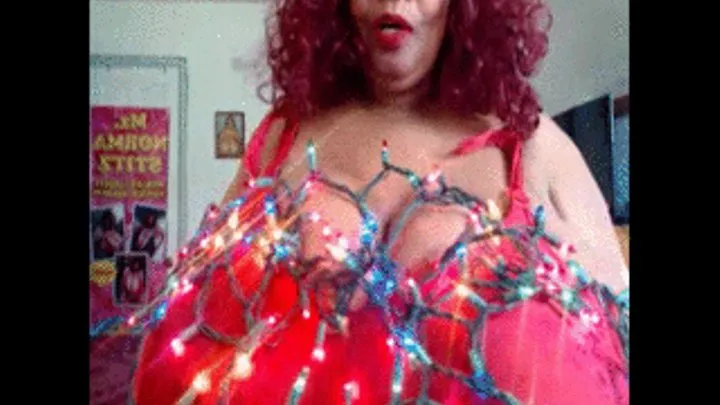 2016 MERRY CHRISTMAS FROM NORMA STITZ