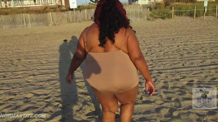 NORMA STITZ WALKING BEACH SUNRISE MORNING SOUNDS