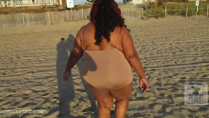 NORMA STITZ WALKING BEACH SUNRISE MORNING SOUNDS