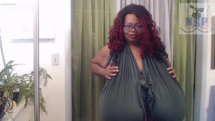 HAVE FUN WITH NORMA STITZ FULL FUN BAGS