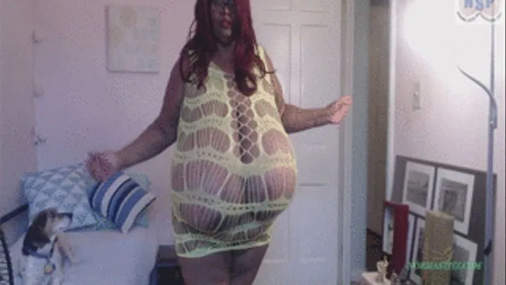 NORMA STITZ WENT SHOPPING FOUND DRESS