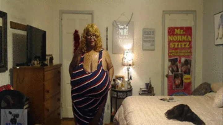 NORMA STITZ NEW DRESSWITH THE CRAZY LINES