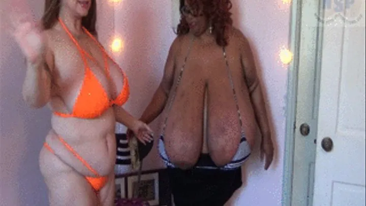 BIG BOOB CONVO WITH SAM AND NORMA STITZ