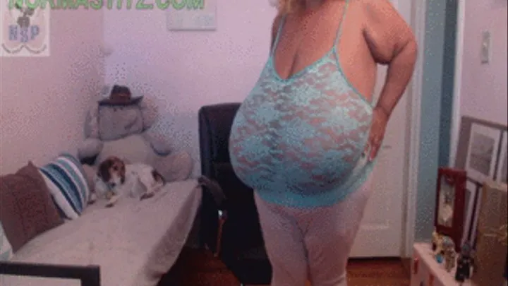 FUN TIME NORMA STITZ N HARRY WEB CAM