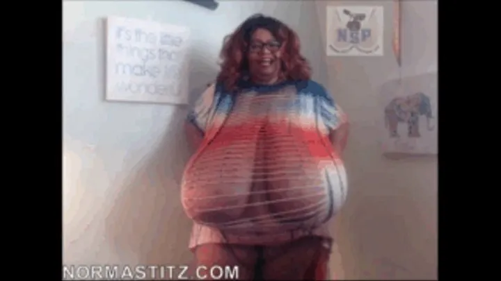 NORMA STITZ NEW SHAKE UM DRESS