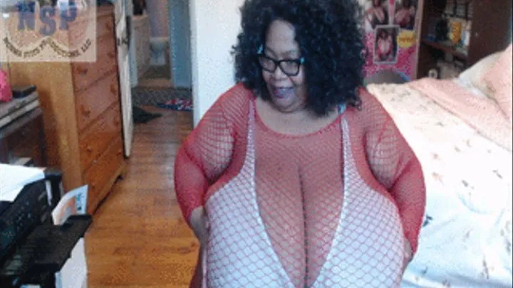 WEB CAM WEDNESDAY: IN THE OFFICE HELP ME NORMA STITZ