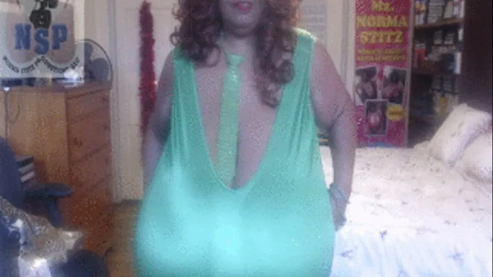 NORMA STITZ YOUR LUCKY CHARM