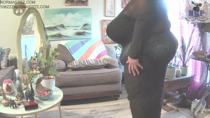 SHEER CONVERSATION WITH GODDESS NORMA STITZ