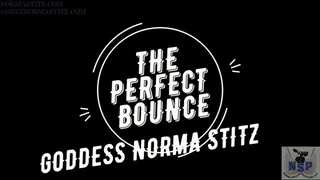 NORMA STITZ THE PERFECT BOUNCE