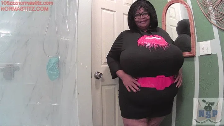 NORMA STITZ NEW DRESS TIGHT NIPPLES RIGHT