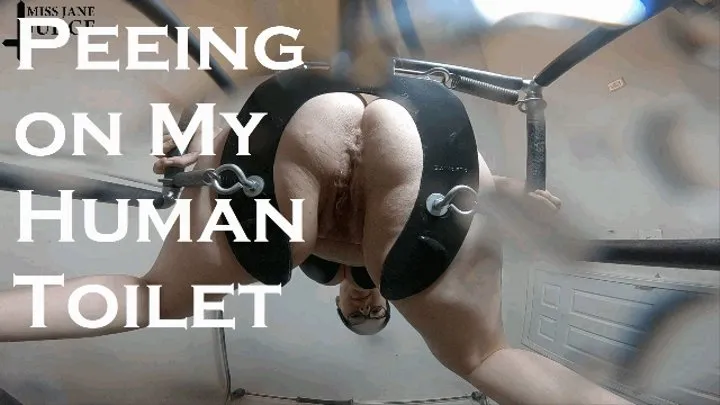 Peeing on My Human Toilet