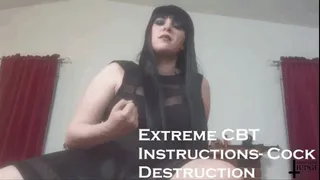 Extreme CBT Instructions- Cock Destruction Audio