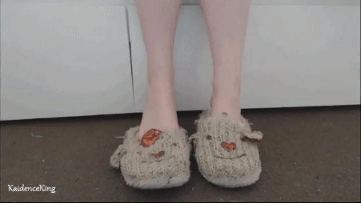 Cute, sexy slippers ( )