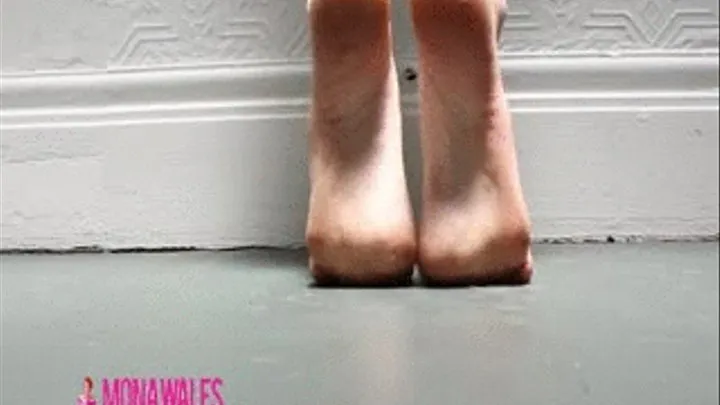 Ballet Feet Stretching and Pointing