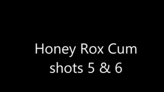 Honey Rox - Cum shots 5 & 6