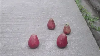 Crushing red fruits1