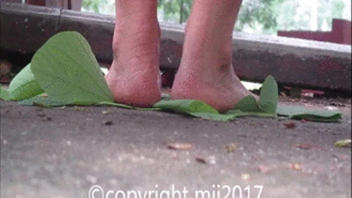 green leaves under her feet1