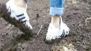 In the rain in sneakers