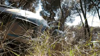 Driving on a bumpy forest road