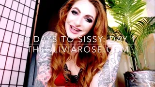 30 Days To Sissy Day 1: Panties