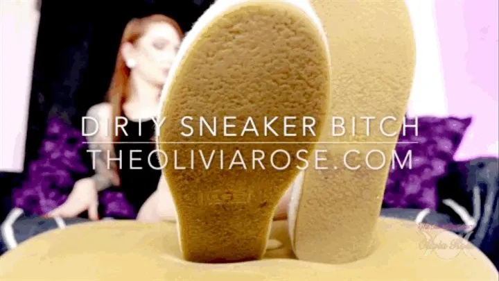 Dirty Sneaker Bitch ( )