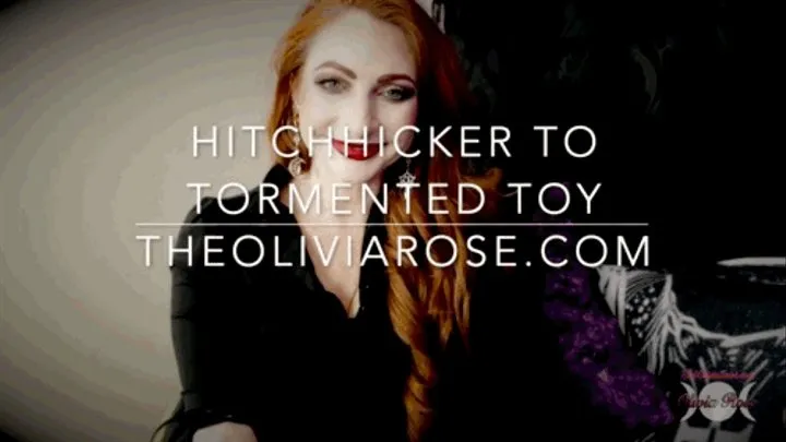 Hitchhiker Torment Toy