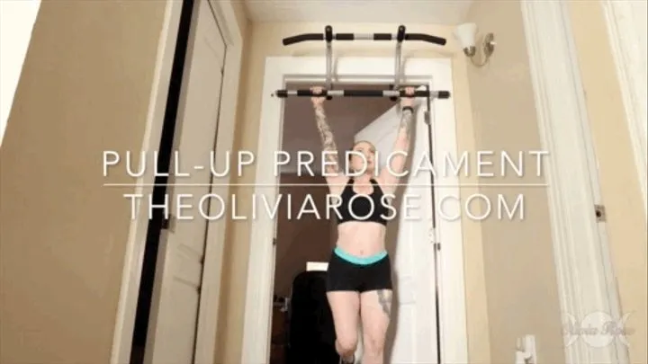 Pull-up Predicament ( )