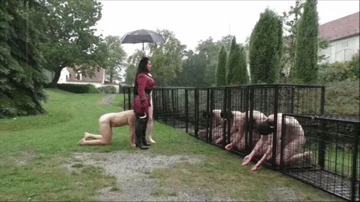 PAIN IN THE RAIN - MISTRESS EZADA SINN