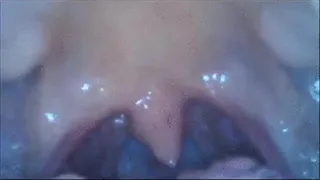 Open Mouth Liquid Swallowing and Uvula Play