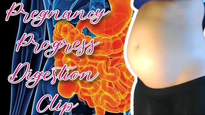 10-11 Week Pregnancy Progress Digestion Clip