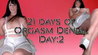 21 Days of Orgasm Denial Day 2