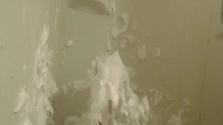 Full body sploshing in shaving creme (20 cans)