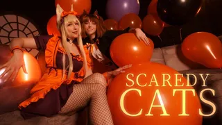 Scaredy Cats