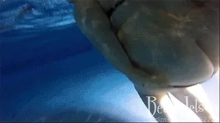Underwater Farts