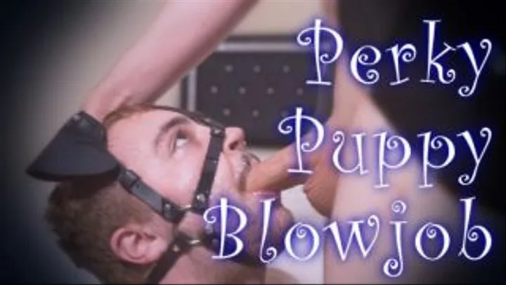 Perky Puppy Blowjob