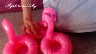 Flamingo ASMR