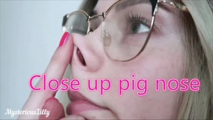 Close up pig nose