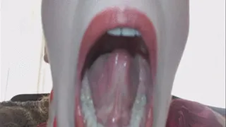 Sammy gives a mouth tour, roof, veins, tongue, bottom of tongue, teeth, uvula