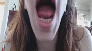 Sammy's Tour through her Mouth