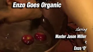 Enzo Goes Organic