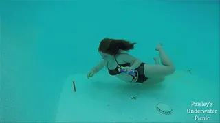 Naked Diving For Toys