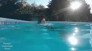 Mermaid Swimming